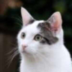 kimiko さんのプロフィール写真